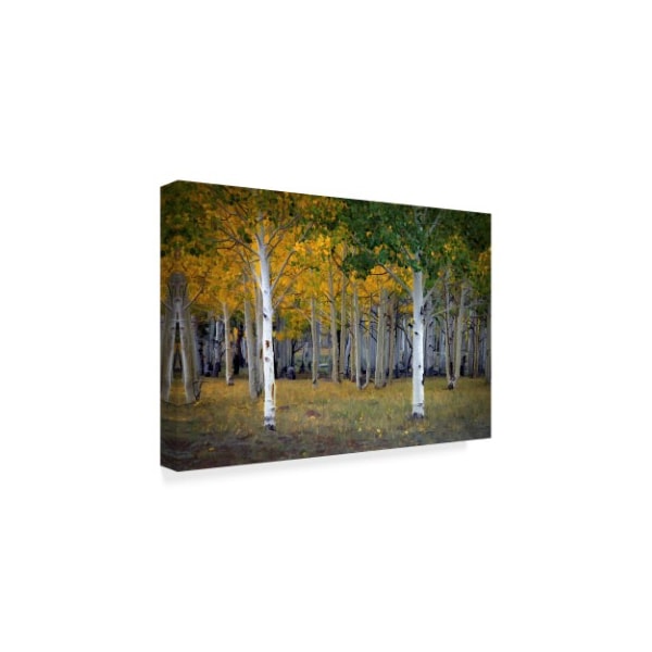 J.D. Mcfarlan 'Dixie Forest, Ut Birch' Canvas Art,30x47